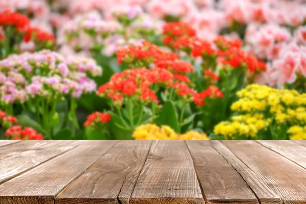 Träbord Och Suddig Syn Trädgård Med Blommande Blommor Bakgrund Utrymme — Stockfoto