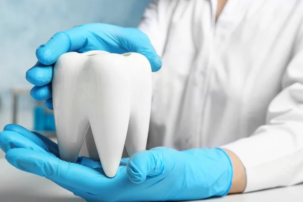 Dentista Segurando Modelo Cerâmica Dente Mesa Close — Fotografia de Stock