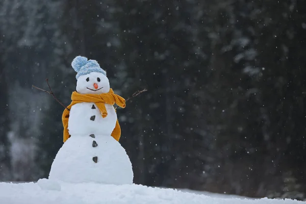 Boneco Neve Sorridente Adorável Livre Dia Inverno Espaço Para Texto — Fotografia de Stock