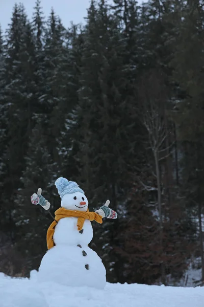 Schattige Lachende Sneeuwpop Buiten Winterdag — Stockfoto