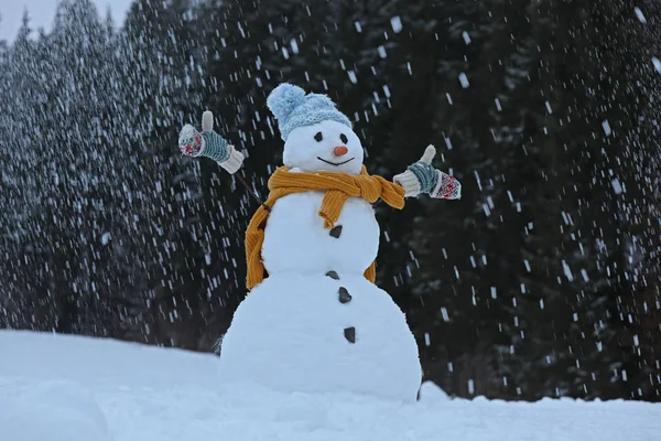 Adorable Muñeco Nieve Sonriente Aire Libre Día Invierno —  Fotos de Stock