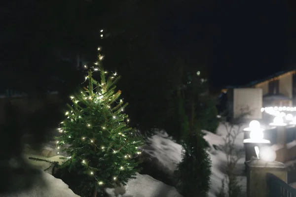 Hermoso Árbol Coníferas Con Luces Navidad Nieve Deriva Calle Espacio —  Fotos de Stock