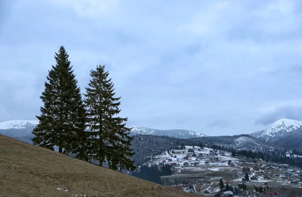 Tannenbäume Der Nähe Von Bergdorf Mit Schnee Bedeckt — Stockfoto