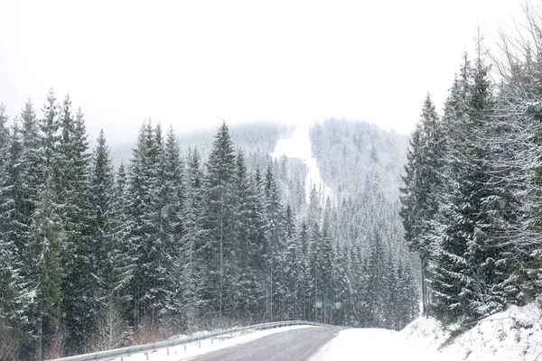 Πανέμορφο Τοπίο Δάση Κωνοφόρων Και Δρόμος Χιονώδη Χειμερινή Ημέρα — Φωτογραφία Αρχείου