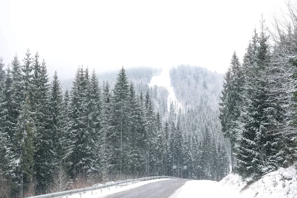 Красивый Пейзаж Хвойными Лесами Дорога Снежный Зимний День — стоковое фото