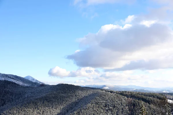 Krásné Horské Krajiny Lesem Slunečný Den Zimě — Stock fotografie