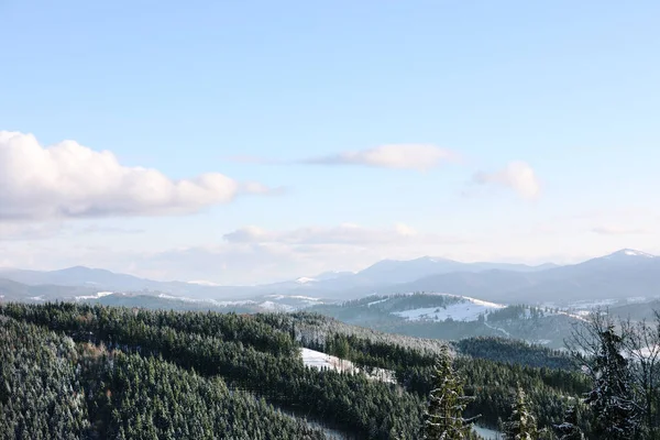 美丽的山风景与森林在阳光明媚的天在冬天 — 图库照片
