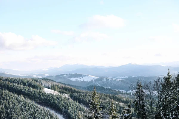 冬の晴れた日に森林と美しい山の風景 — ストック写真