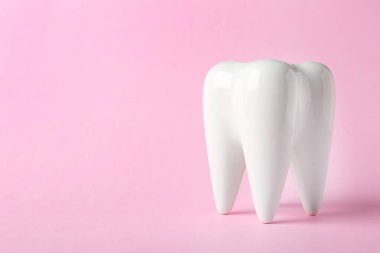 Diş renk arka plan üzerinde seramik modeli. Metin için yer