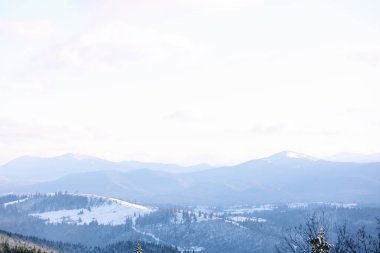 Güzel dağ manzarası ile güneşli kış orman