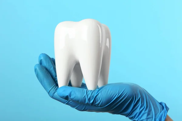 Dentysta Gospodarstwo Ceramiczne Model Zęba Kolor Tła — Zdjęcie stockowe