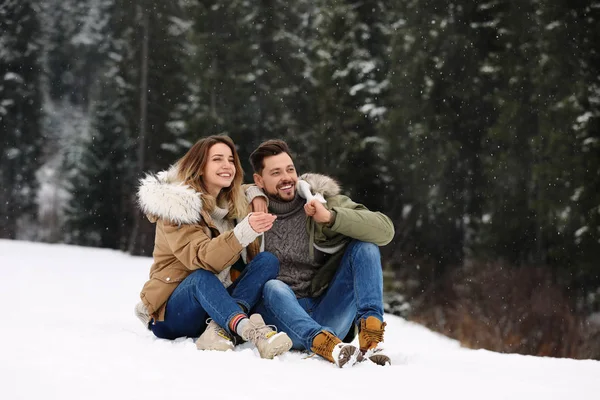 Young woman in conifer forest on snowy day. Winter vacation