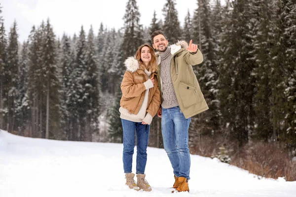 Jovem Mulher Floresta Coníferas Dia Nevado Férias Inverno — Fotografia de Stock