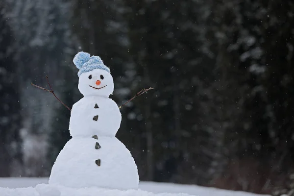 Boneco Neve Sorridente Adorável Livre Dia Inverno Espaço Para Texto — Fotografia de Stock