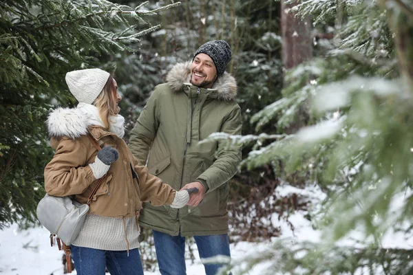 Jovem Mulher Floresta Coníferas Dia Nevado Férias Inverno — Fotografia de Stock