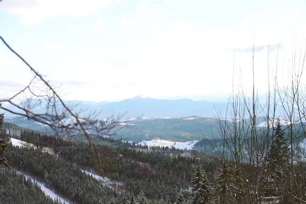 Горный Пейзаж Лесом Зимние Каникулы — стоковое фото