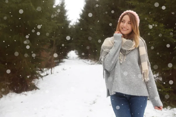 年轻女子在雪针叶林 文字的空间 — 图库照片