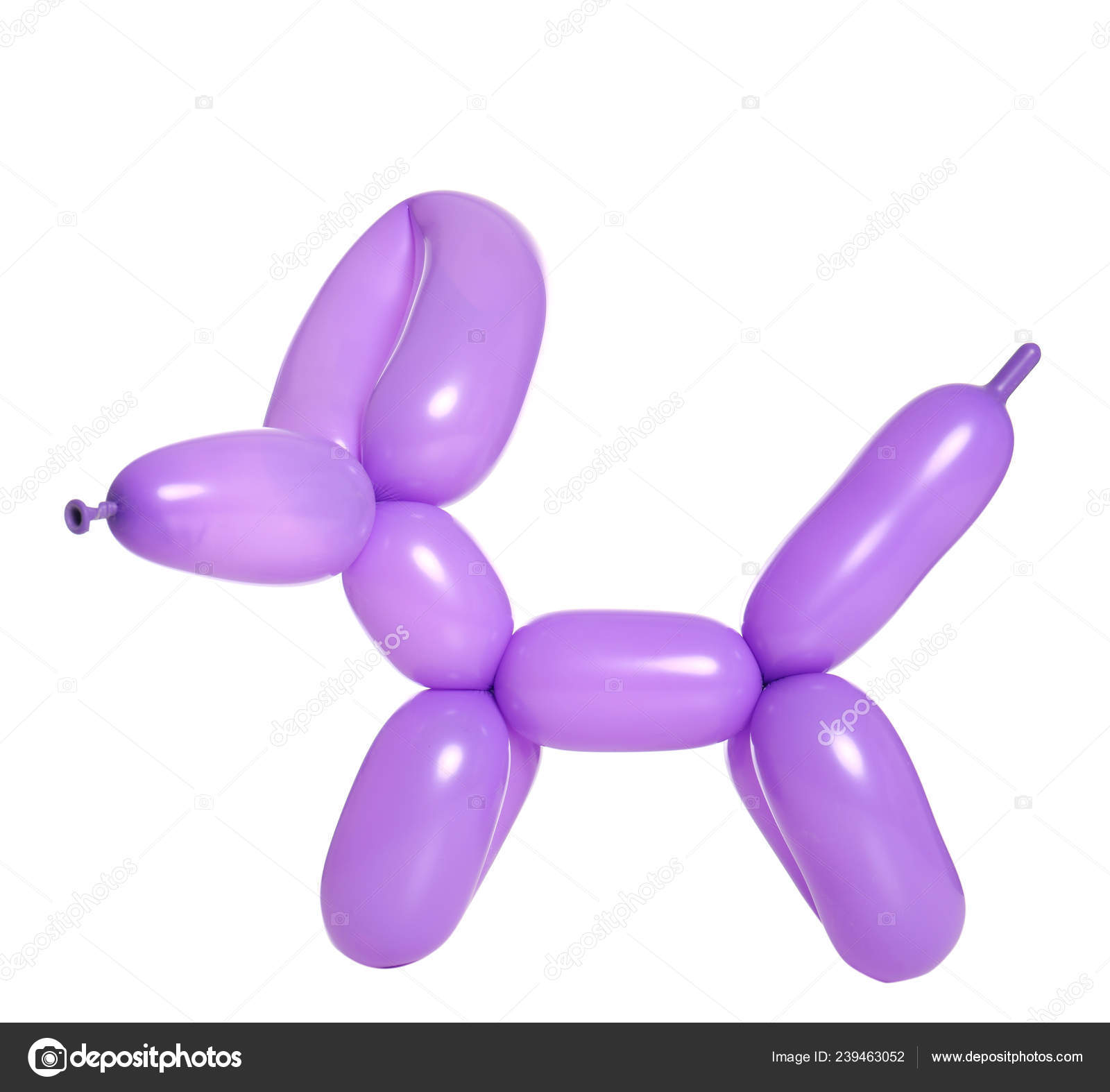 Animal Figure Made Modelling Balloon White Background Stock Photo by  ©NewAfrica 239463052