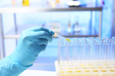 Laboratuar asistanı damlama idrar örneği pipet içine tüp, closeup analizi için