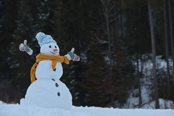 Adorabile Pupazzo Neve Sorridente All Aperto Nella Giornata Invernale Spazio — Foto Stock