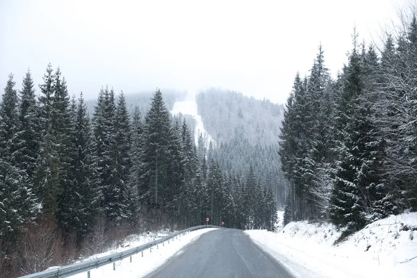 Beautiful landscape with conifer forest and road on snowy winter day