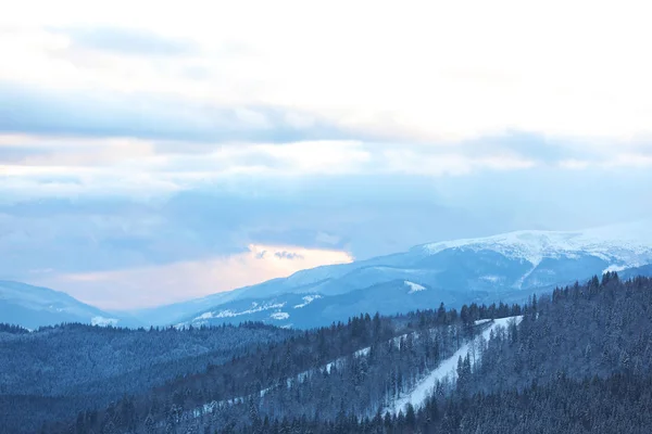 Schöne Berglandschaft Mit Wald Winter — Stockfoto