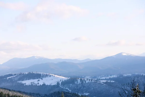 Schöne Berglandschaft Mit Wald Sonnigen Wintertagen — Stockfoto