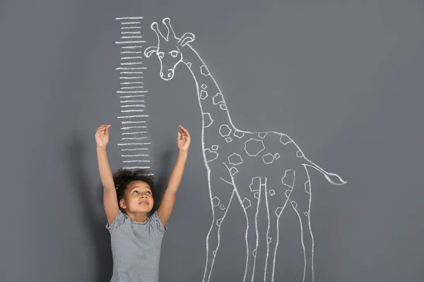 Afro Americké Dítě Měření Výšky Poblíž Křídou Žirafa Šedém Pozadí — Stock fotografie
