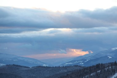 Güzel dağ manzarası ile kışın orman