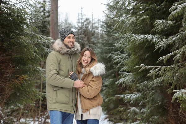 Casal Floresta Coníferas Dia Nevado Espaço Para Texto Férias Inverno — Fotografia de Stock