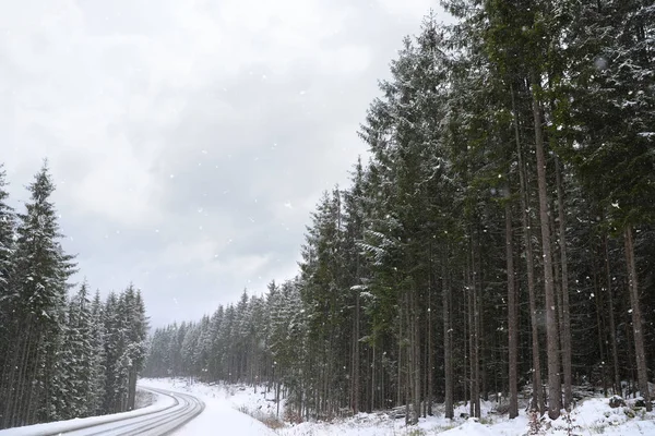 Hermoso Paisaje Con Bosque Coníferas Carretera Día Invierno Nevado — Foto de Stock