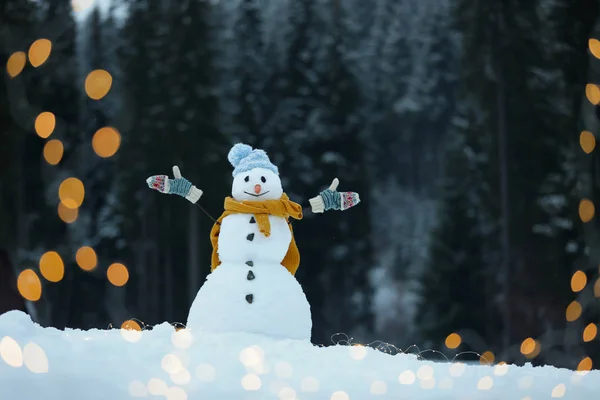 Boneco Neve Sorridente Adorável Com Luzes Natal Livre Dia Inverno — Fotografia de Stock