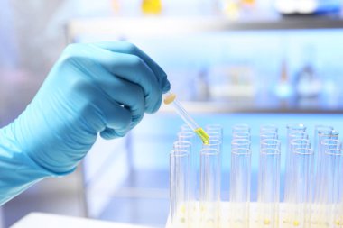 Laboratuar asistanı damlama idrar örneği pipet içine tüp, closeup analizi için