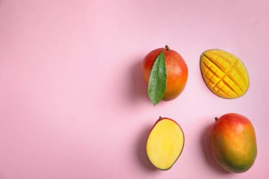 Olgun mango ve renk arka plan üzerinde metin için yer düz yatıyordu kompozisyonu