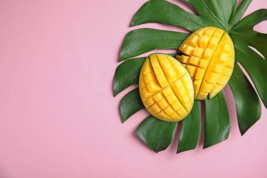 Kesme mango, monstera yaprak ve renk arka plan üzerinde metin için yer düz yatıyordu kompozisyonu