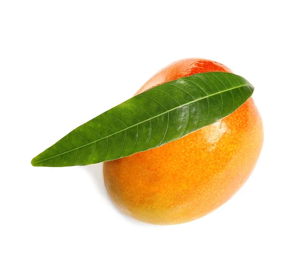Delicious Ripe Mango White Background Tropical Fruit — Stock Photo, Image