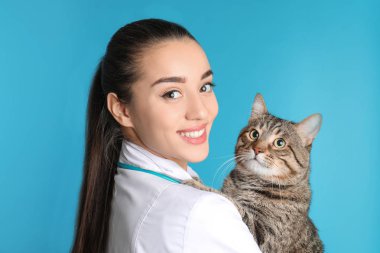 Veteriner doktor ile renk arka plan üzerinde kedi