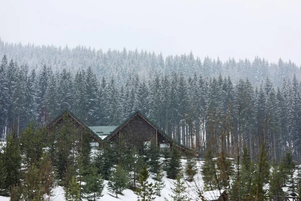 雪の日にコテージは居心地の良いリゾートの美しい景色 冬の休暇 — ストック写真