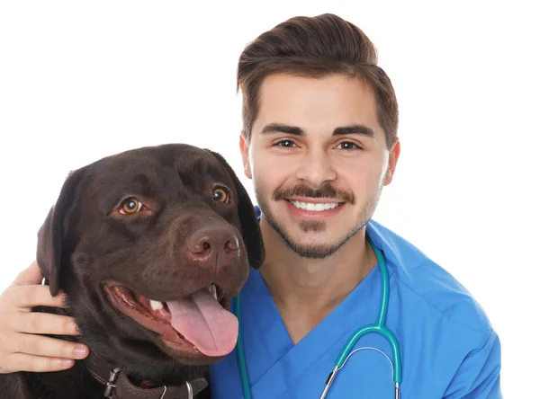 Tierarzt Doc Mit Katze Auf Farbigem Hintergrund — Stockfoto
