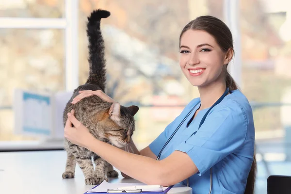 Dierenarts Doc Met Hond Witte Achtergrond — Stockfoto