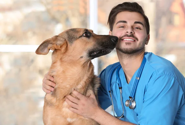 Medico Veterinario Con Cane Clinica Animale — Foto Stock