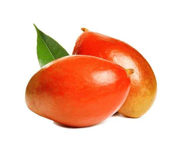 Delicious Ripe Mangoes White Background Tropical Fruit — Stock Photo, Image