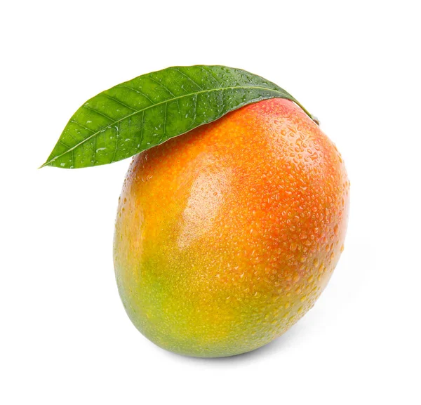 白い背景の上の美味しい完熟マンゴー トロピカル フルーツ — ストック写真