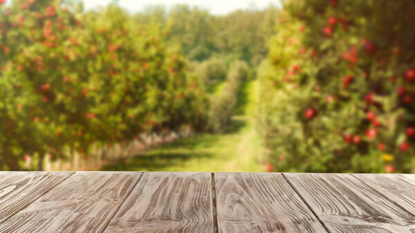 Wooden table and blurred view of beautiful garden on background. Space for text