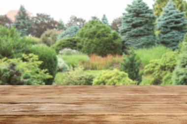 Ahşap masa ve arka plan üzerinde bulanık görüş-in bahçe. Metin için yer