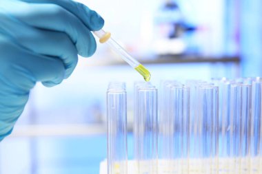 Laboratuar asistanı damlama idrar örneği pipet içine tüp, closeup analizi için