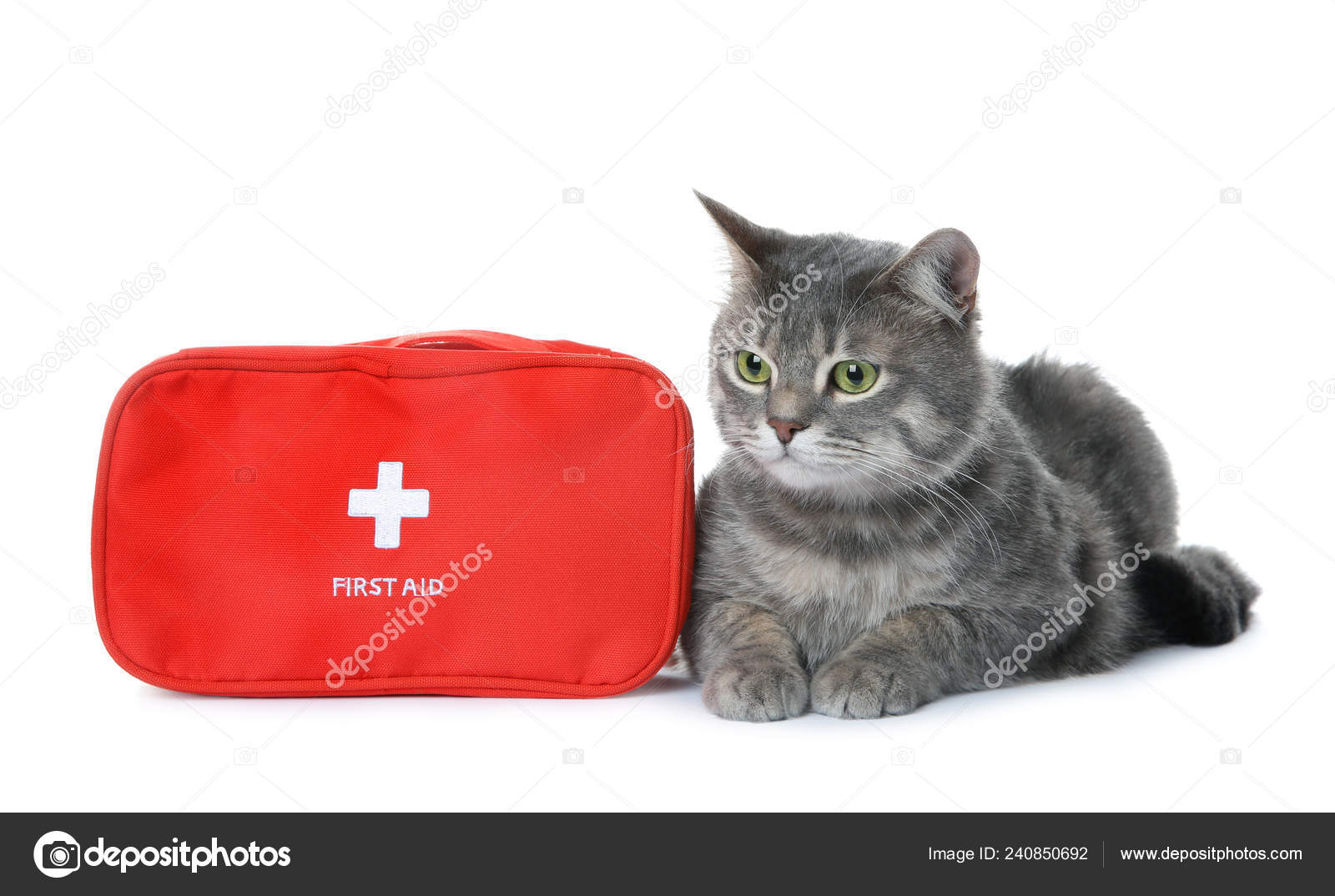 Kit de Primeiros Socorros - Animais de Estimação