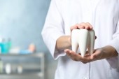 Dentist holding ceramic model of tooth on blurred background, closeup view. Space for text