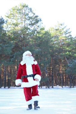 Mutlu otantik Noel Baba açık havada yürüyüş. Metin için yer