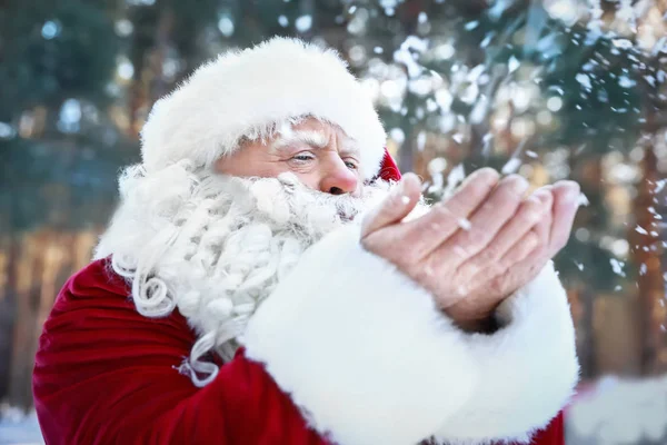 Lycklig Äkta Jultomten Blåser Snö Från Hans Händer Utomhus — Stockfoto